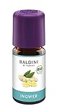 Baldini – Ingweröl BIO, 100% naturreines ätherisches Ingwer Öl Bio, Ingwer Aroma zum Einnehmen,...