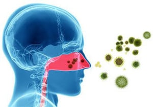 nasenfilter-hausstaub-milben-allergie-pollen-allergiker