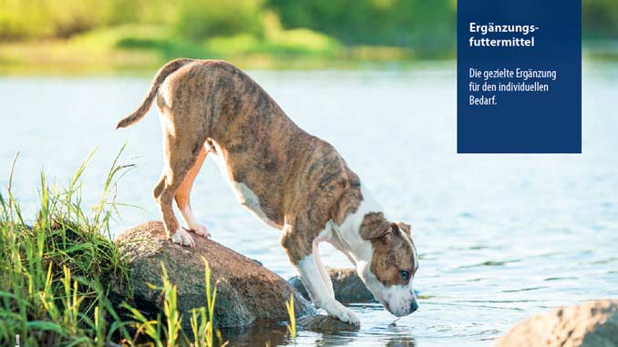 Leinsamen Nachtkerzen Schwarzkeummel Oel Hund