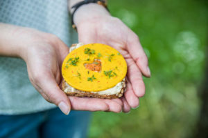 vegetarische vegane Ernaehrung Hummus Aufstriche