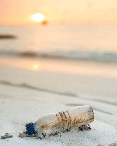 schadstofffreie Trinkflasche ohne Weichmacher