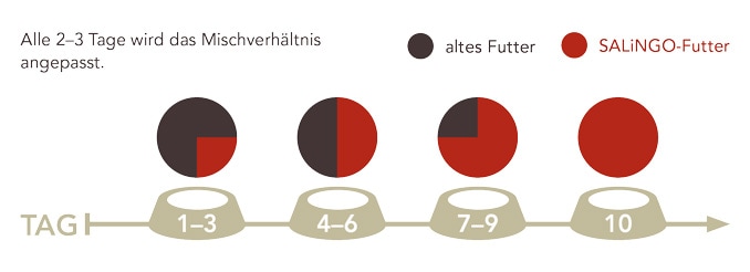 Hundefutter hypoallergen