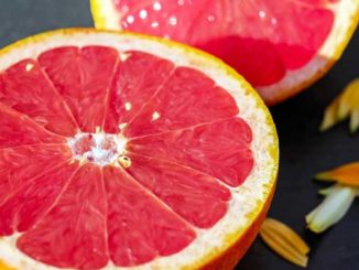 grapefruitkernextrakt
