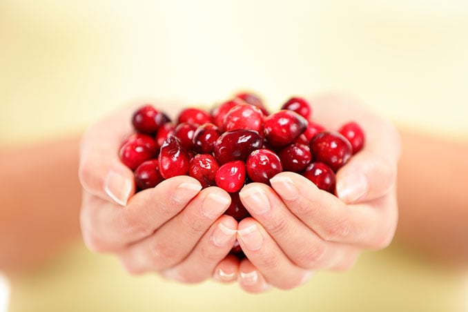 Cranberry Entzuendung