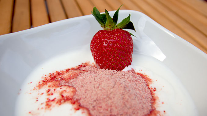 Probiotischer Joghurt