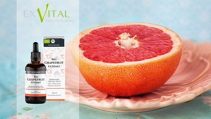 Grapefruitkernextrakt Wirkung Grapefruitkernextrakt Wirkung