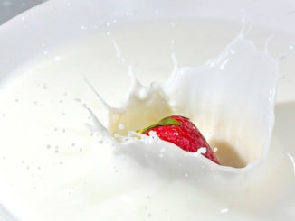 Milchsäurebakterien