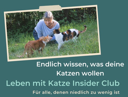 Leben mit Katze Insider Club