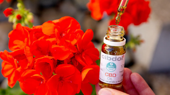 CBD Öl Test cibdol CBD Öl Test cibdol