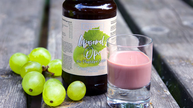 OPC Traubenkernextrakt Liposomal Test OPC Traubenkernextrakt Liposomal Test