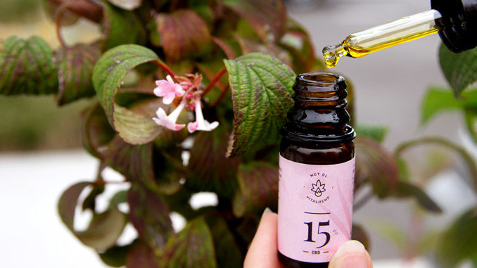 CBD Öl Test Vitalhemp CBD Öl Test Vitalhemp