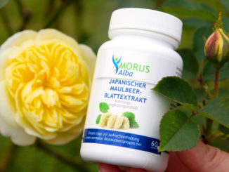 Morus Alba Test
