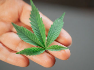 CBD gesundheitliche Vorteile