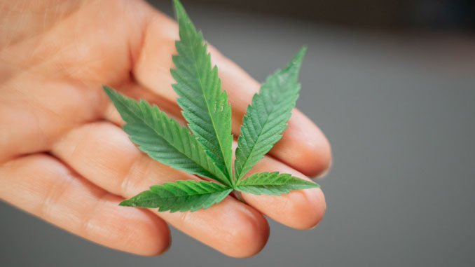 CBD gesundheitliche Vorteile CBD gesundheitliche Vorteile