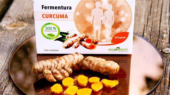Fermentura Curcuma Test AuraNatura