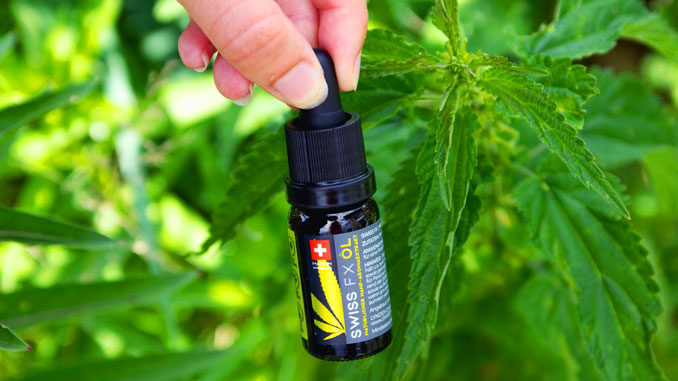 swiss fx cbd ol 10 im test apotheke blog